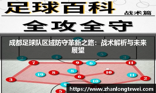 成都足球队区域防守革新之路：战术解析与未来展望