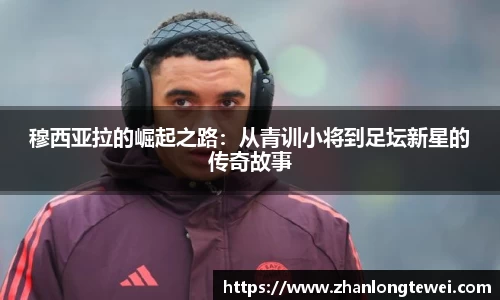 易游体育官网