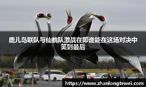 易游体育官网